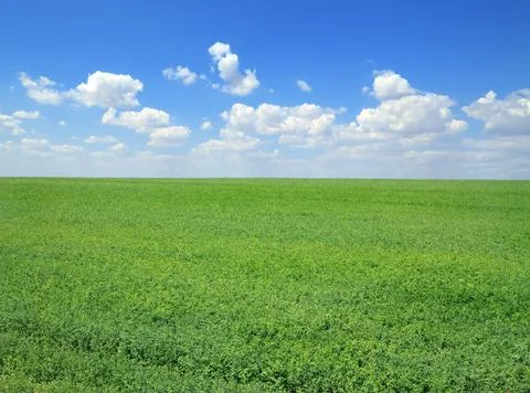 Springtime landscape Stock Photos