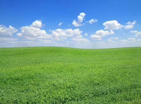 Springtime landscape Stock Photos