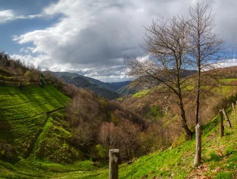 Springtime landscape in the valley Stock Photos