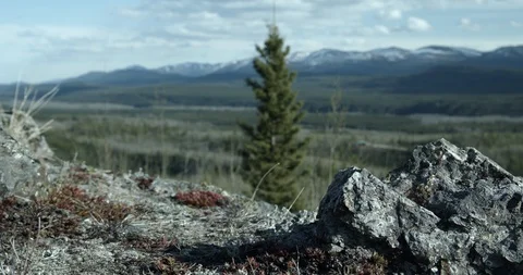 Springtime Landscape view - slider shot Stock Footage 108130181