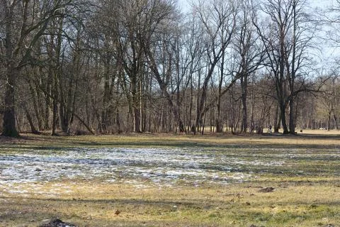 Springtime with last snow Stock Photos