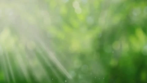 Springtime Leaves Defocused Abstract Background 4K Loop Stock Footage 313836653