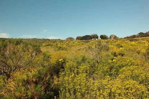 Springtime in Malibu CA Stock Photos