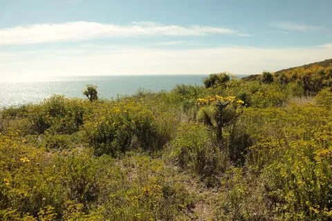 Springtime in Malibu CA Stock Photos