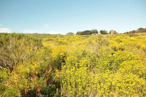 Springtime in Malibu CA Stock Photos