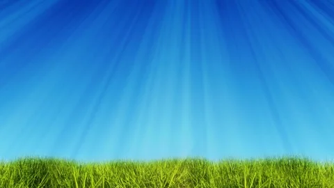 Springtime Meadow And Blue Sky Stock Footage 102958510