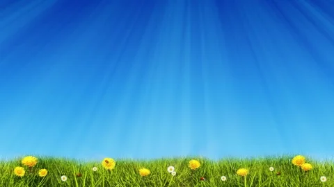 Springtime Meadow And Blue Sky Vidéo 102958893
