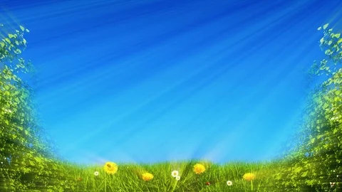 Springtime Meadow And Blue Sky Video stock 102959304