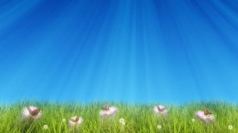 Springtime Meadow And Blue Sky 動画素材 102959823