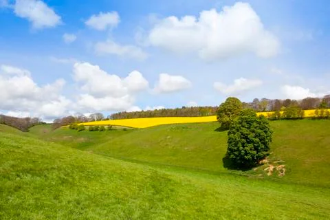 Springtime meadows Stock Photos