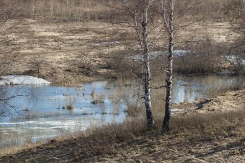 Springtime, melting ice on the small rivers Foto stock