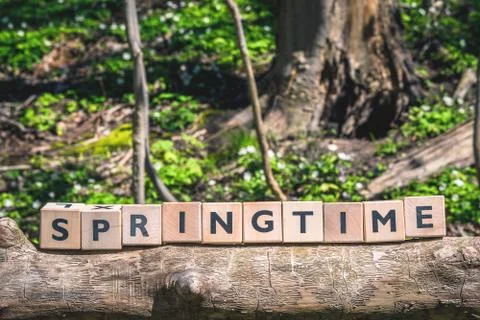 Springtime message in a forest Stock Photos