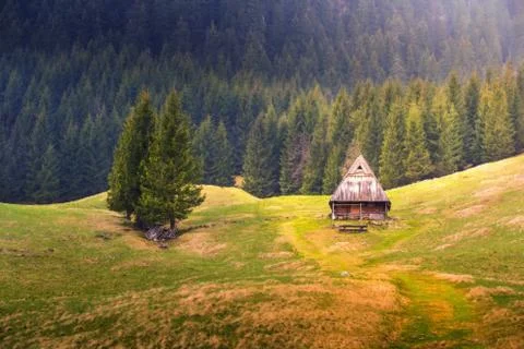 Springtime on mountain hills Foto stock