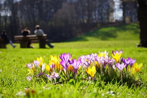 Springtime in Munich Stock Photos