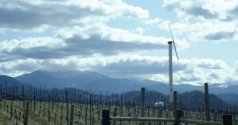 Springtime Oregon Vineyard in Applegate Valley With Windmill and Mountains Stock Footage 162789443