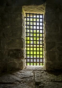 Springtime outside world viewed through bars of metal gate in dark vintage .. Stock Photos