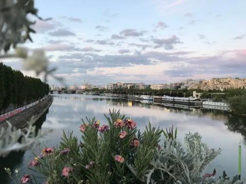 Springtime over the Seine river in Paris Stock Photos