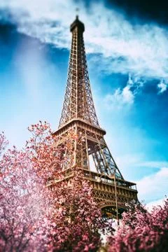 Springtime in Paris. Eiffel tower Stock Photos