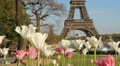 Springtime in Paris. HD Footage