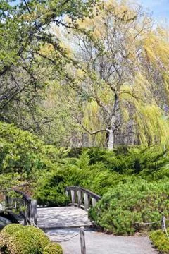 Springtime park Stock Photos