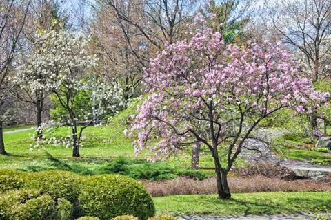 Springtime park Stock Photos