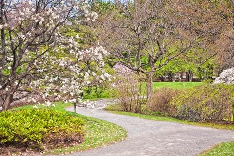 Springtime park Stock Photos