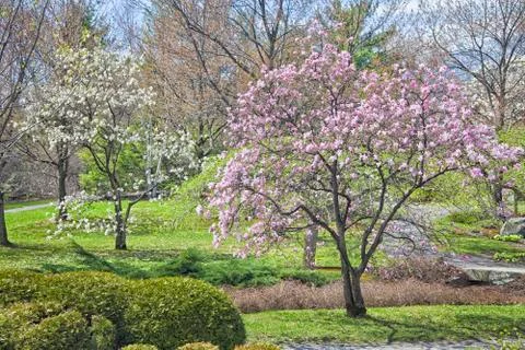 Springtime park Stock Photos