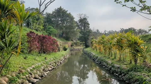 Springtime park view by the canal. Tilt up shot, 4k. Stock Footage 268717664