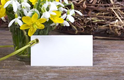Springtime Stock Photos