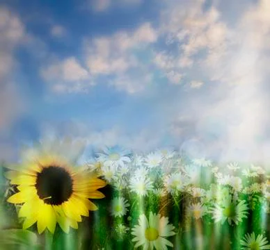 Springtime Stock Photos