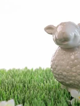 Springtime Stock Photos