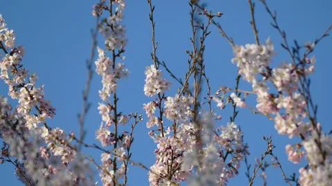 Springtime. Stock Photos