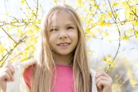 Springtime Stock Photos