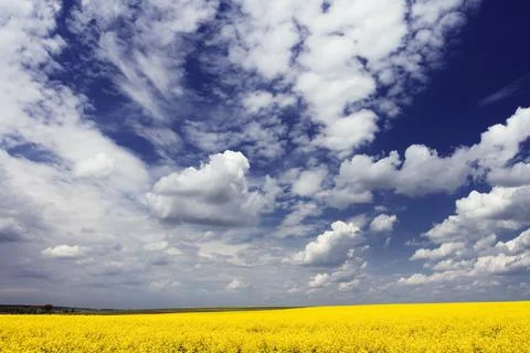 Springtime Stock Photos