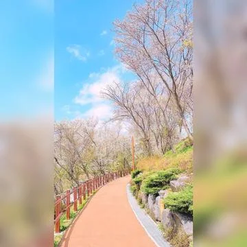 Springtime Stock Photos