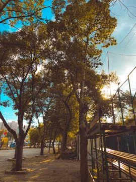 Springtime Stock Photos