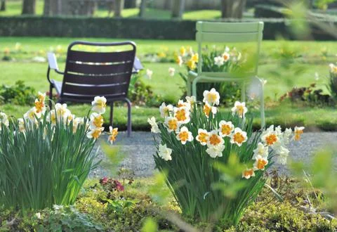 Springtime in public garden Stock Photos