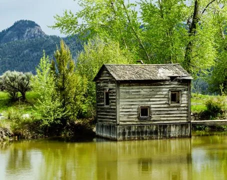 Springtime Reflections Stock Photos