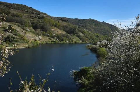 Springtime by the river Stock Photos