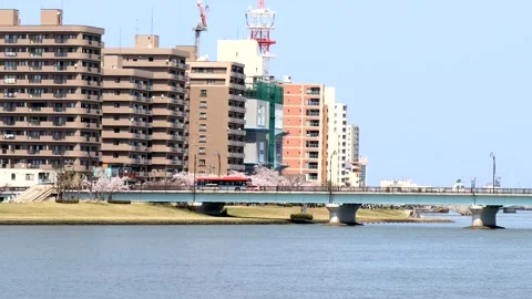 Springtime river scenery in Japan Stock Footage 336032104