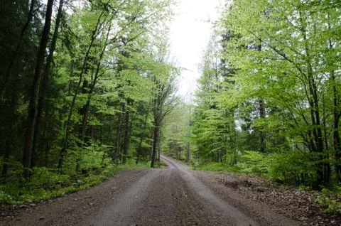 Springtime road Stock Photos