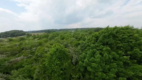Springtime Rocky Point Aerials: High-Speed FPV Drone Adventure Stockbeeldmateriaal 243367127