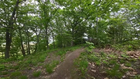 Springtime at Rocky Point: High-Speed FPV Drone Aerials 스톡 동영상 243367152