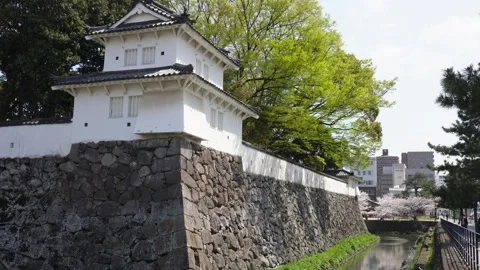 Springtime Sakura Framing White Plaster Walls of a Japanese Castle Stock Footage 312208870