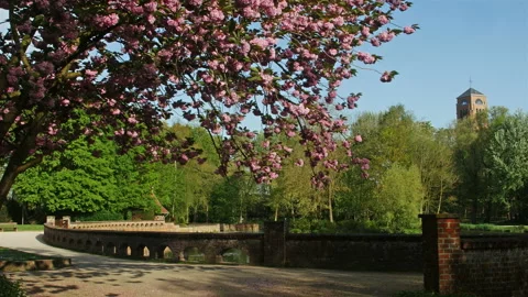 Springtime scenery in Belgium : Memorial Gardens Passchendaele 1917 dolly shot Stock Footage 106949401