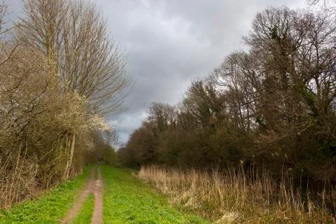 Springtime scenery Stock Photos