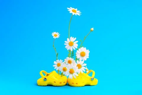Springtime Serenade: Yellow Clog Shoes and Blooming Daisies on Blue Foto stock