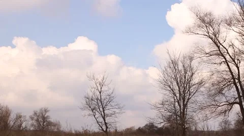 Springtime sky, clouds and trees Video stock 62865475
