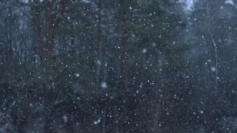 Springtime Snowfall 動画素材 106358857