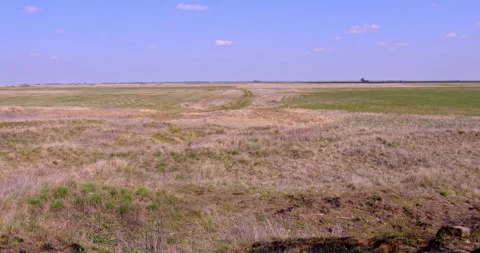 Springtime Splendor: Agricultural Fields, Dry Plants, and Small Birds in Flight Stock Footage 255678514